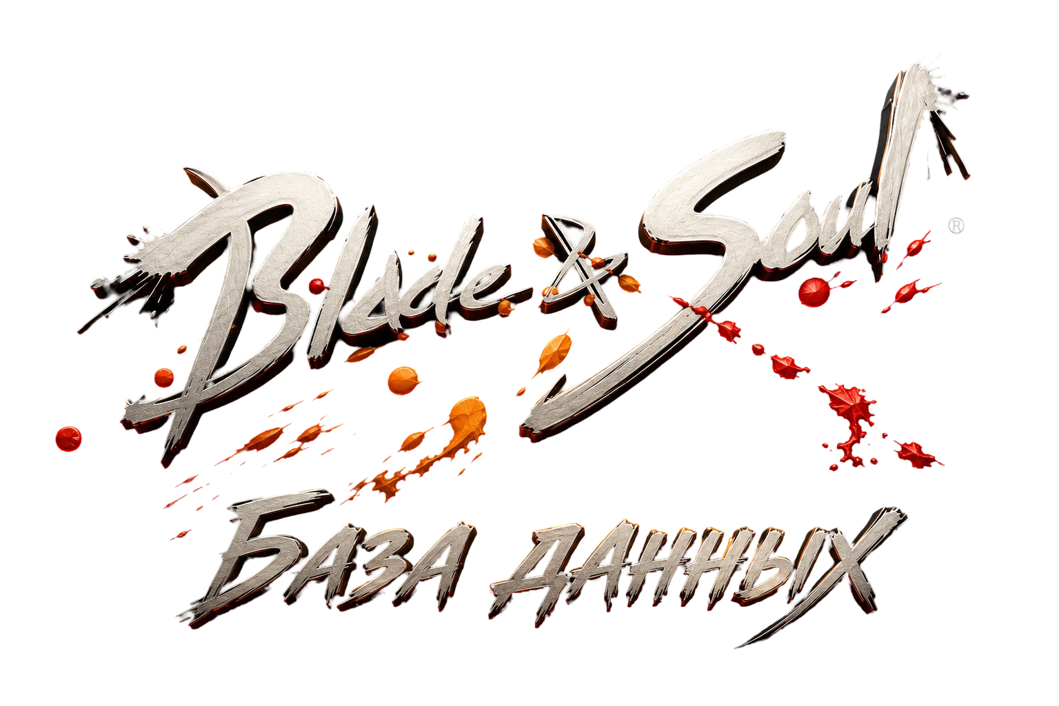 BNS Logo